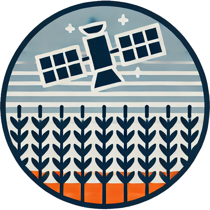 My Logo
