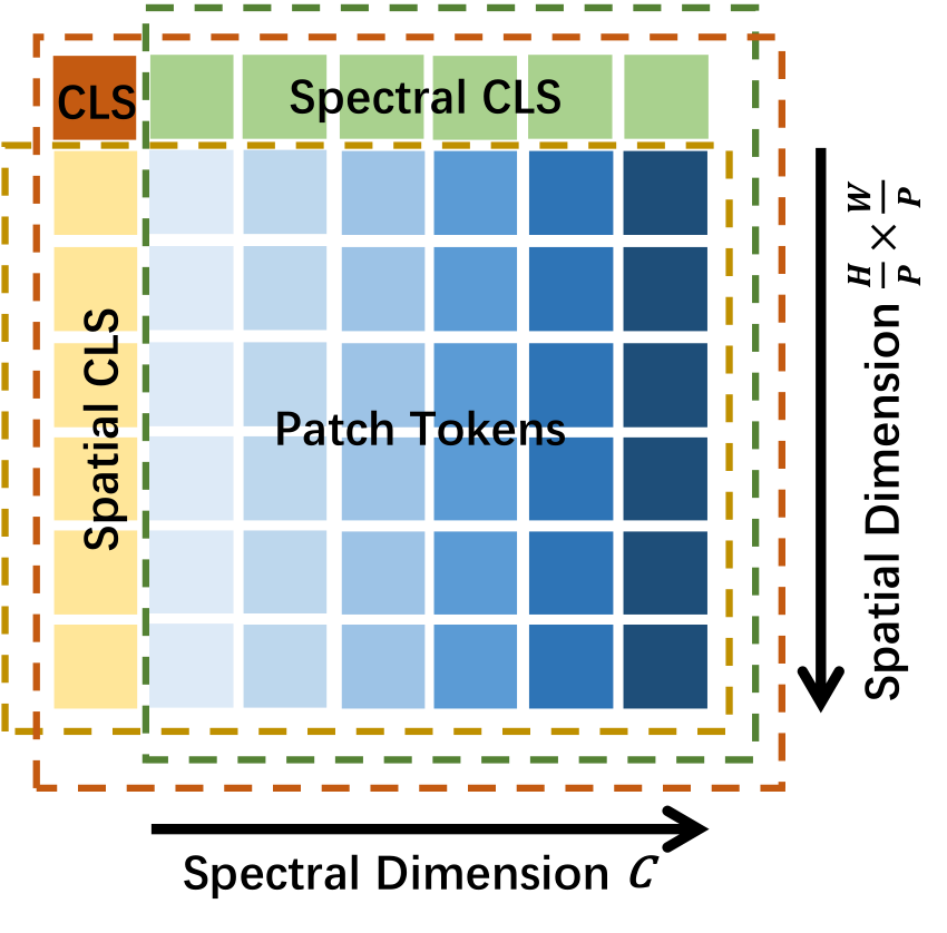 Spatial-Spectral Tokenization